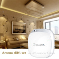 Difusor de aire aromático para el hogar con nebulizador Nano Mist